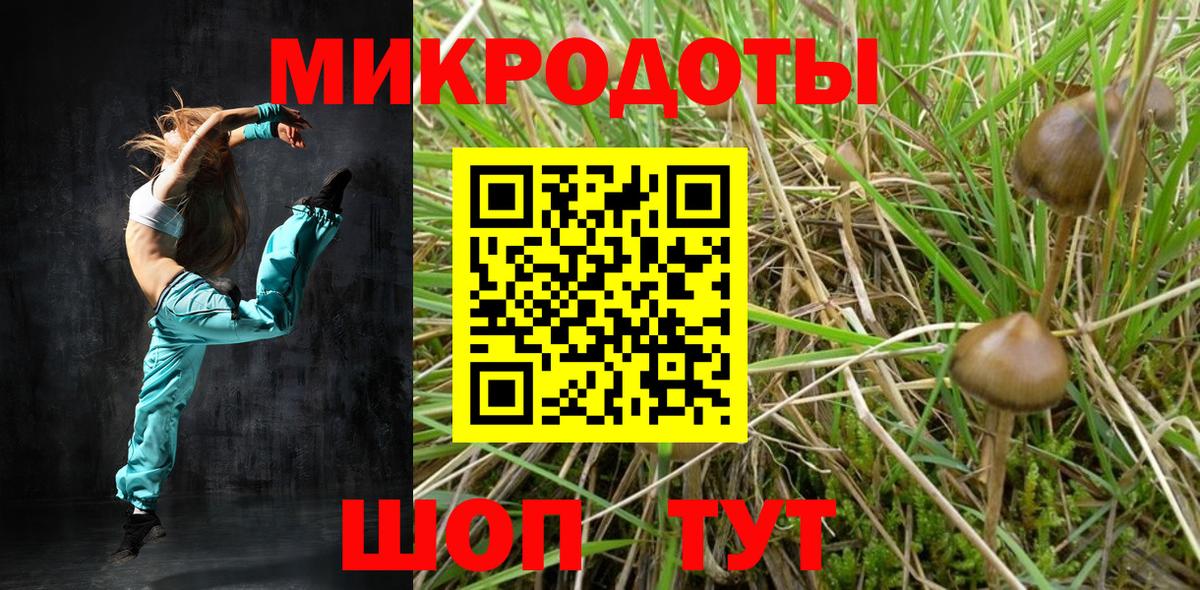 Галлюциногенные грибы Magic Shrooms Благовещенск