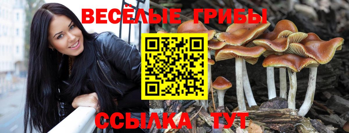 Псилоцибиновые грибы ЛСД  Вход с VPN  Галлюциногенные грибы мухоморы  Благовещенск 